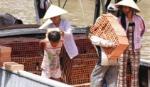 Vietnam pledges to combat child labour