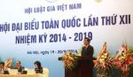 President Sang urges Vietnamese lawyers to strengthen social criticism