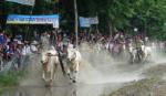 Khmer people celebrate Sene Dolta Festival