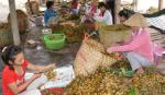 Vietnam's litchi and longan to be exported to the US