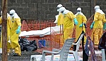 20.000 người có thể bị lây nhiễm Ebola trong tháng 11 tới