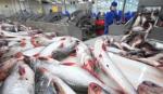 Thailand leads ASEAN in tra fish imports from Vietnam