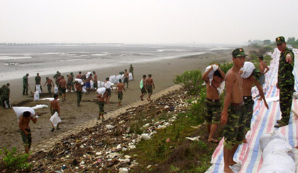 Consolidating Go Cong breakwater suface. Photo: Huu Chi