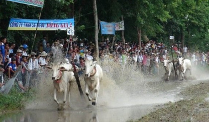 A bull race to celebrate Sene Dolta