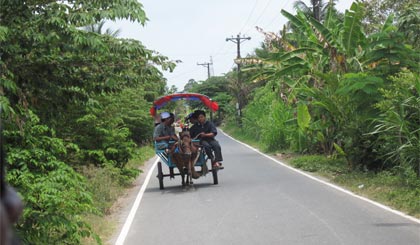 Tham quan cù lao Thới Sơn.