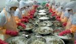 VASEP files claim against US' anti-dumping duties on shrimp