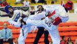 Taekwondo artists to compete in World Poomsae Championships