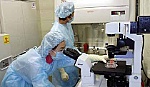 Việt Nam có 4 nơi đủ khả năng xét nghiệm xác định virus Ebola