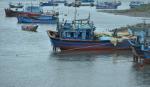 Four generations cling to sea for making a living