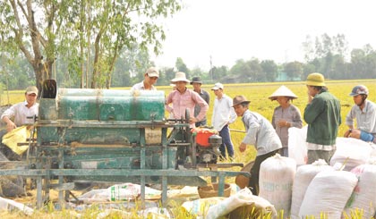 Nông dân trồng lúa không còn thu hoạch bằng thủ công nữa.