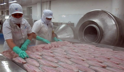 Vietnam surpassed China to become the top exporter of frozen fish fillets to Brazil (Photo:VNA)