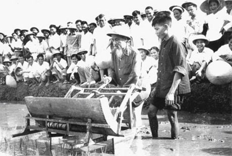 Bác Hồ dùng thử máy cấy lúa cải tiến tại Trại thí nghiệm trồng lúa Sở Nông lâm Hà Nội (16-7-1960).