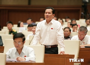 Deputy Bui Sy Loi from the central province of Thanh Hoa (Photo:VNA)