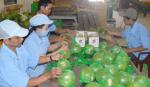 Model contributes to creating sweet of Mekong Delta's fruits