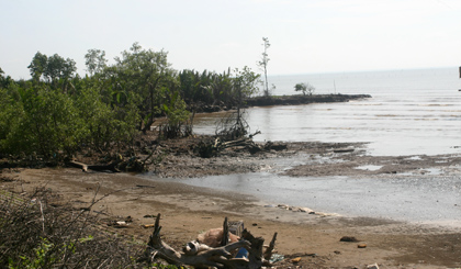 Erosion caused by climate change in Vinh Hai coastal area, Vinh Chau town, Soc Trang province. (Image credit: biendoikhihau.gov.vn)