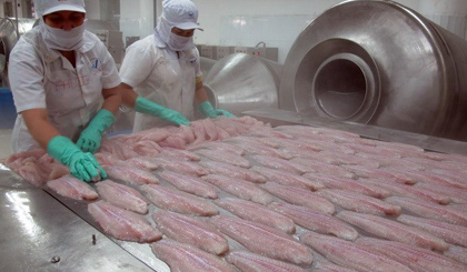 Workers process tra fish for export at a company in the Mekong Delta. Photo credit: Vietnam News Agency