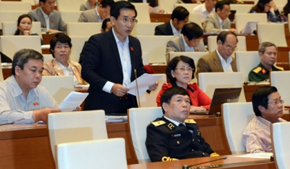 A deputy from Binh Dinh province speaks at the session 