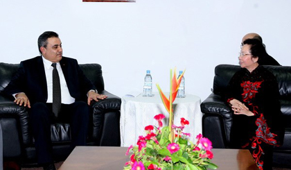 Photo: vietnamplus.vn