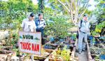 Vườn thuốc nam tại trạm y tế: Chưa được quan tâm chăm sóc tốt