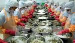 Seafood export enjoys trade surplus of 5 billion USD