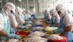 Seafood sector: Rays of sunlight in marketplace