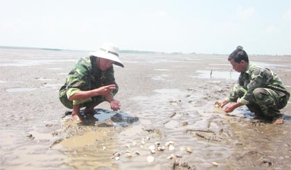 Anh em Đội Bảo vệ BQLCB kiểm tra nghêu.