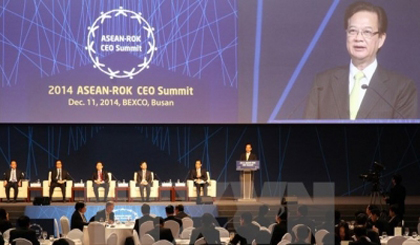 PM Nguyen Tan Dung speaks at the Republic of Korea-ASEAN CEO Summit held in Busan (photo: VNA)