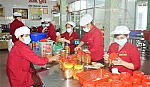 Sản xuất bánh, mứt tết: Mừng ít, lo nhiều