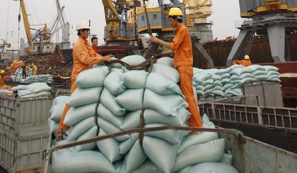 Rice shipped for export at the Hai Phong Port