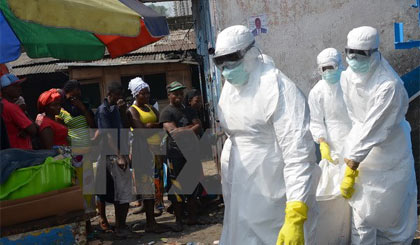 Nhân viên Chữ thập Đỏ chuyển một nạn nhân tử vong vì virus Ebola. Ảnh: AFP/TTXVN