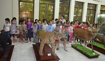 Children visit the National Museum of Nature. (Credit: VTV)