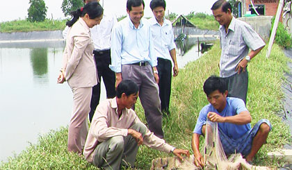 Cán bộ khuyến nông giúp nông dân kiểm tra trọng lượng tôm nuôi ở xã Phú Tân, huyện Tân Phú Đông.