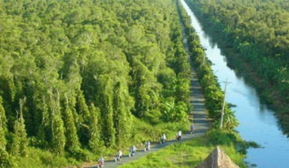 A corner of U Minh Ha National Park