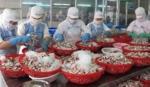 Seafood exports to hit 8 billion USD in 2015