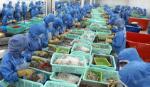 More opportunities arise for Vietnamese seafood exported to RoK