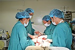 Ngành Y tế Tiền Giang 40 năm miệt mài cống hiến