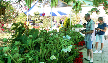 Foreigners visit Da Lat Spring Flower Festival on February 14.