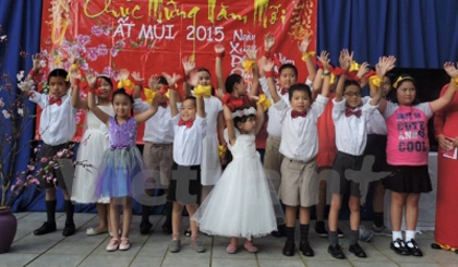 Vietnamese all over the world have organised activities to celebrate the traditional Lunar New Year, their most important festival of the year.