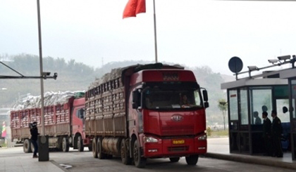 The trucks carrying nearly 200 tonnes of fertilizer from China