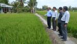 Vice Chairman of PPC inspects the water situation