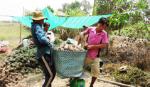 Prices of Tan Phuoc winged jam rise