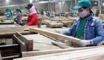 US holds potential for local wood products