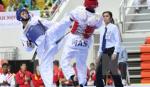 Vietnam dominate regional Taekwondo contest