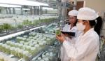 Vietnam, Japan discuss hi-tech agriculture, environmentally-friendly technology