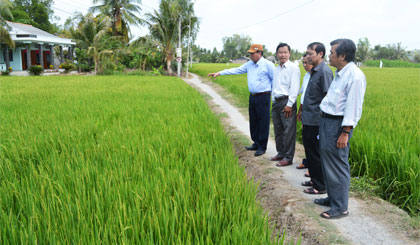 Phó Chủ tịch UBND tỉnh Lê Văn Nghĩa cùng lãnh đạo Sở NN&PTNT, huyện Gò Công Tây kiểm tra tình hình nước phục vụ lúa đông xuân 2014 - 2015 vào ngày 3-3.