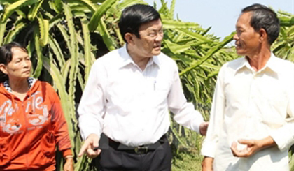 President Truong Tan Sang visited Thuan Lan dragon fruit farm in Ham Thuan Nam commune. (Photo: VNA)