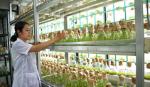 Vietnam, Australia to build research links in agriculture