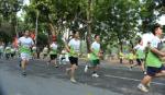 Around 3,000 people join 'Health Run Day'