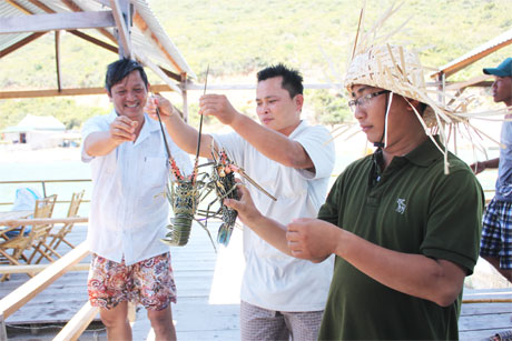 Du khách tìm hiểu và thưởng thức tôm hùm trên các bè nuôi tôm hùm.