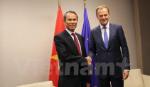 Ambassador presents credentials to EC President